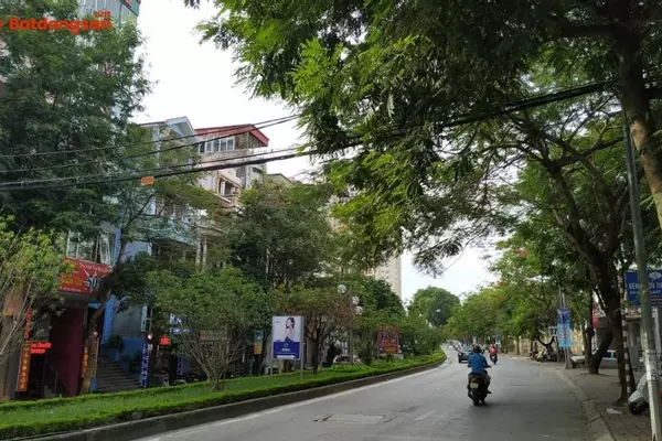 Đường Lạc Long Quân: Vị Trí, Giao Thông Và Bất Động Sản Xung Quanh