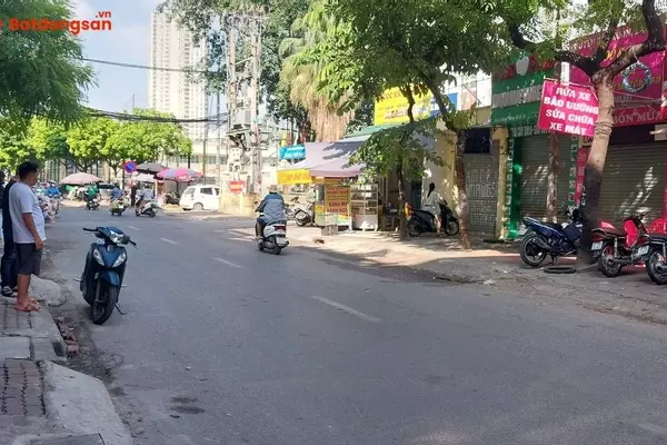 Đường Lê Hồng Phong: Vị Trí, Giao Thông Và Bất Động Sản Xung Quanh
