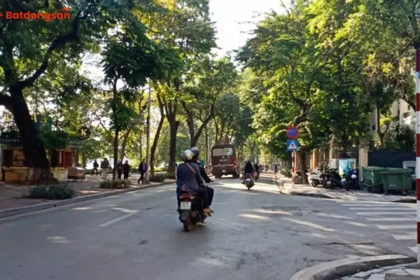 Đường Lê Thái Tổ: Vị Trí, Giao Thông Và Bất Động Sản Xung Quanh
