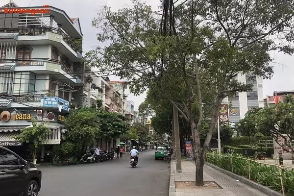 Đường Lữ Gia: Vị Trí, Giao Thông Và Bất Động Sản Xung Quanh