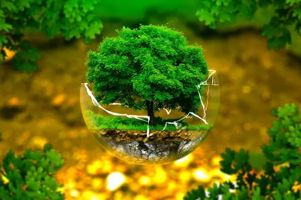 Khái niệm “Môi trường” trong phong thủy