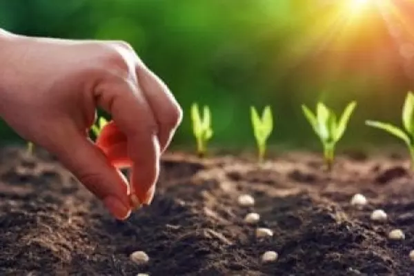 Những điều cần lưu tâm về ý nghĩa nhân sinh
