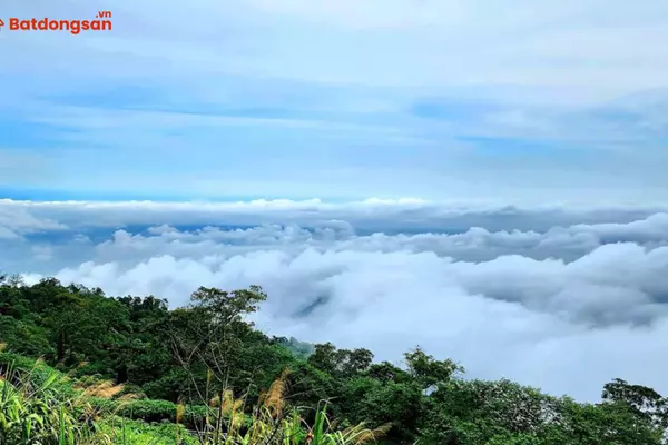 Đường Ba Vì: Vị Trí, Giao Thông Và Bất Động Sản Xung Quanh