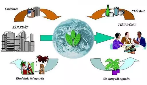 Cách đánh giá môi trường của một thửa đất