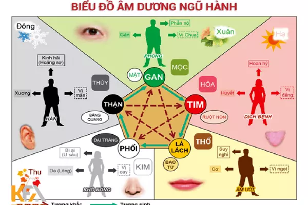 Một số quan điểm về sự ra đời của thuyết Ngũ Hành