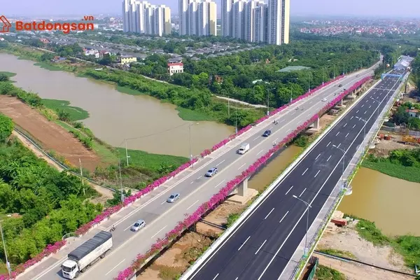 Cầu Bắc Hưng Hải: Vị trí, giao thông và bất động sản xung quanh
