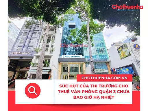 Chothuenha.com.vn - Cầu nối cho thuê văn phòng Quận 3 uy tín và chuyên nghiệp
