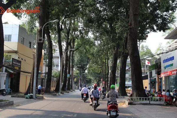 Đường Mạc Đĩnh Chi: Vị trí, giao thông và bất động sản xung quanh
