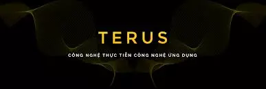 Terus là ai? Đơn Vị Cung Cấp Giải Pháp Digital Marketing Tổng Thể
