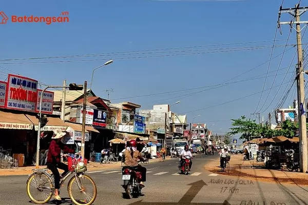 Ngã tư Sông Ray: Vị trí, giao thông và bất động sản xung quanh