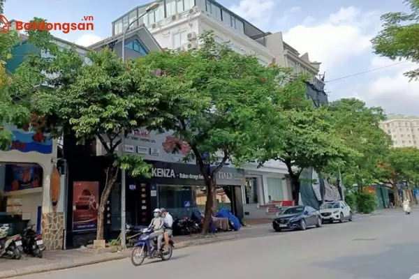 Ngõ 20 phố Trần Kim Xuyến: Vị trí, giao thông và bất động sản xung quanh