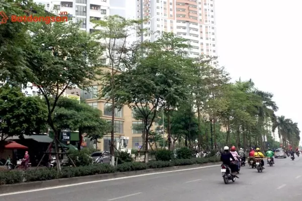 Ngõ 297 Hoàng Mai: Vị trí, giao thông và bất động sản xung quanh