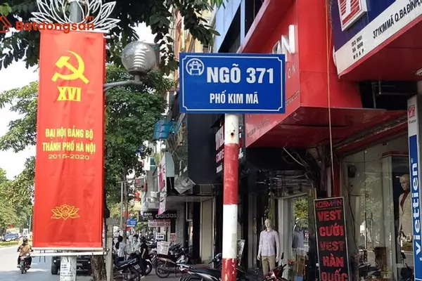 Ngõ 371 Kim Mã: Vị trí, giao thông và bất động sản xung quanh