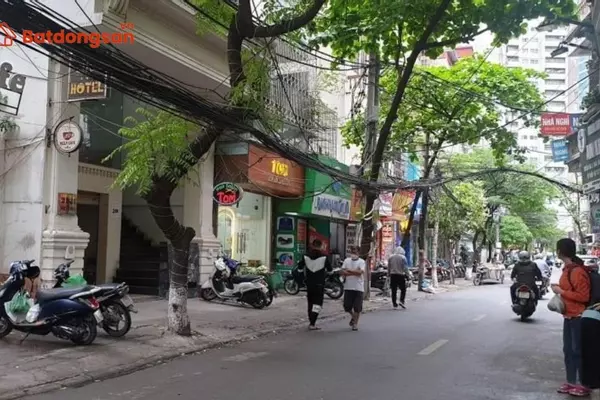 Ngõ 80 phố Nhân Hòa: Vị trí, giao thông và bất động sản xung quanh