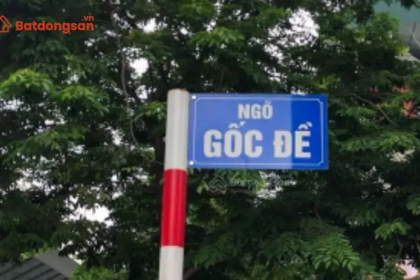 Ngõ Gốc Đề: Vị trí, giao thông và bất động sản xung quanh