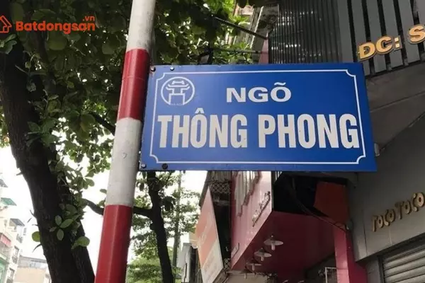 Ngõ Thông Phong: Vị trí, giao thông và bất động sản xung quanh