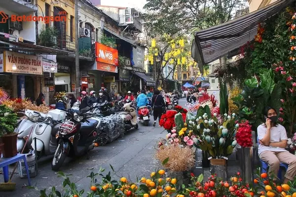 Phố Hàng Lược: Vị trí, giao thông và bất động sản xung quanh