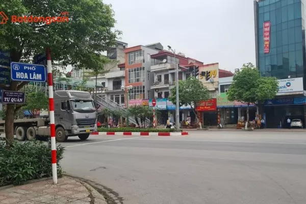 Phố Hoa Lâm: Vị trí, giao thông và bất động sản xung quanh