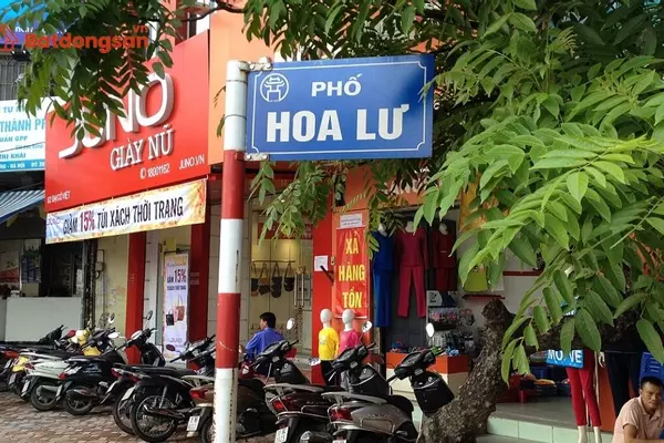 Phố Hoa Lư: Vị trí, giao thông và bất động sản xung quanh