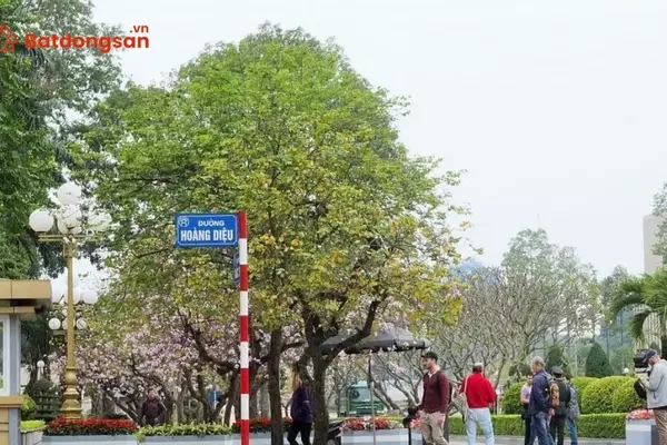 Phố Hoàng Diệu: Vị trí, giao thông và bất động sản xung quanh