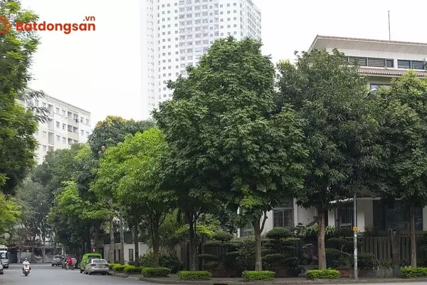Phố Hoàng Liệt: Vị trí, giao thông và bất động sản xung quanh