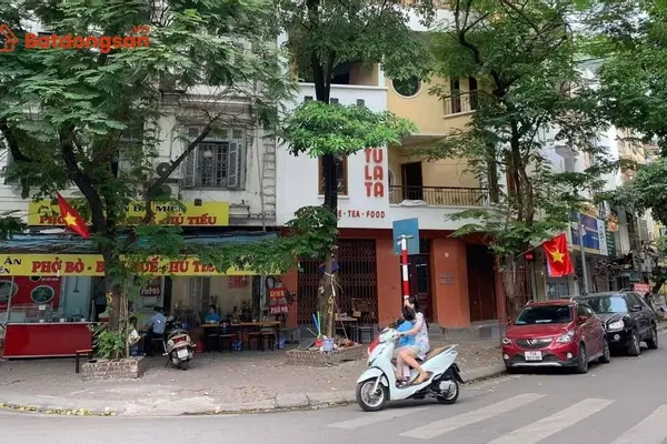 Phố Hoàng Ngọc Phách: Vị trí, giao thông và bất động sản xung quanh