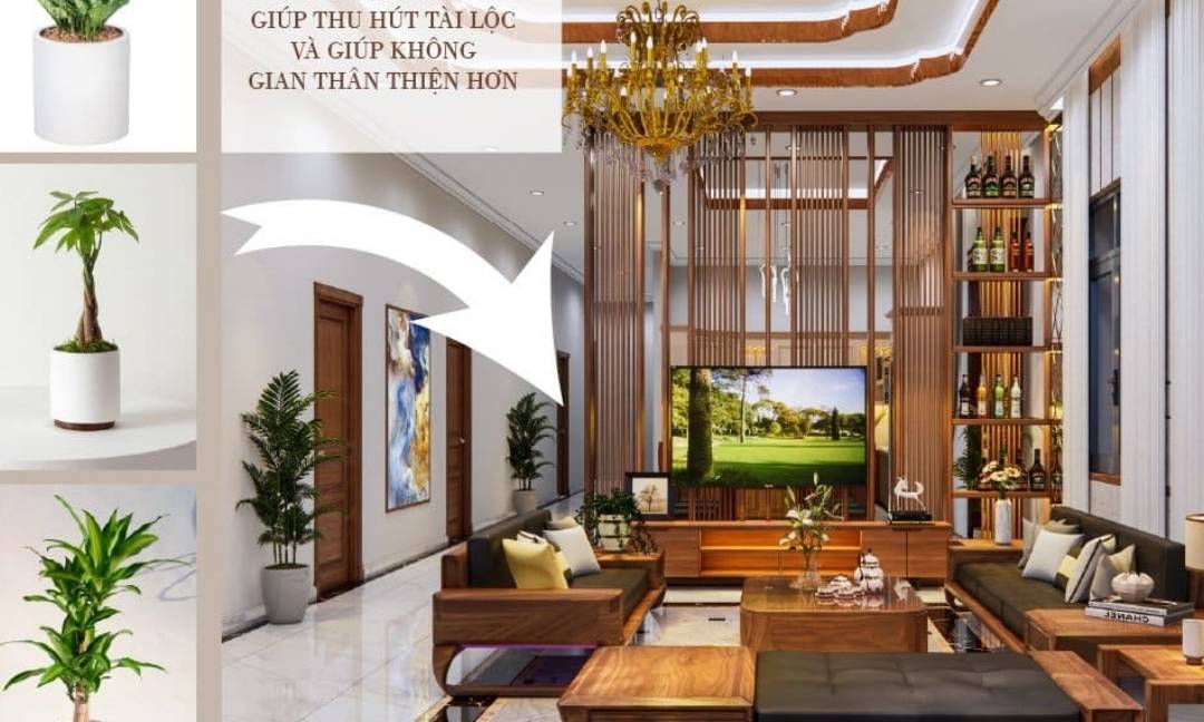 bat-mi-phong-thuy-nha-mang-toi-cho-gia-chu-tai-loc