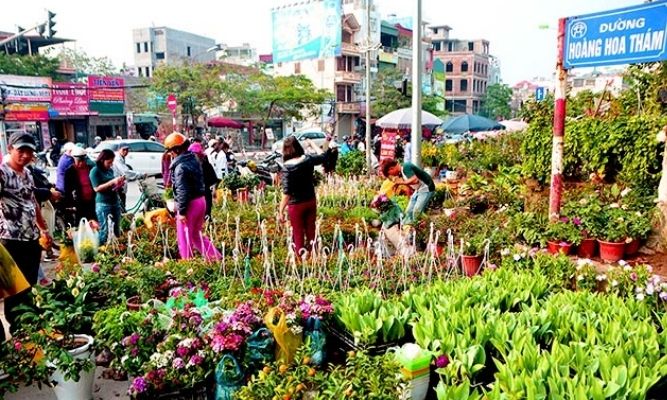 duong-hoang-hoa-tham