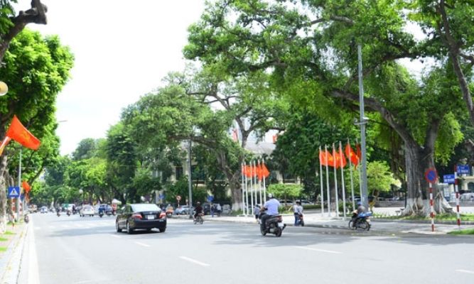 duong-ly-thai-to