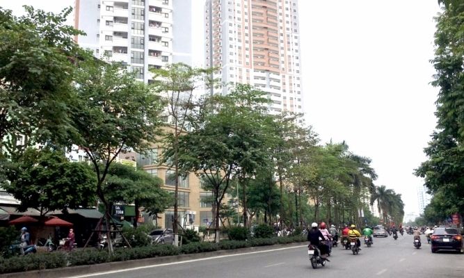 ngo-297-hoang-mai