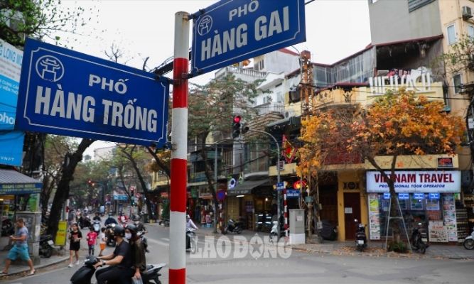 pho-hang-trong