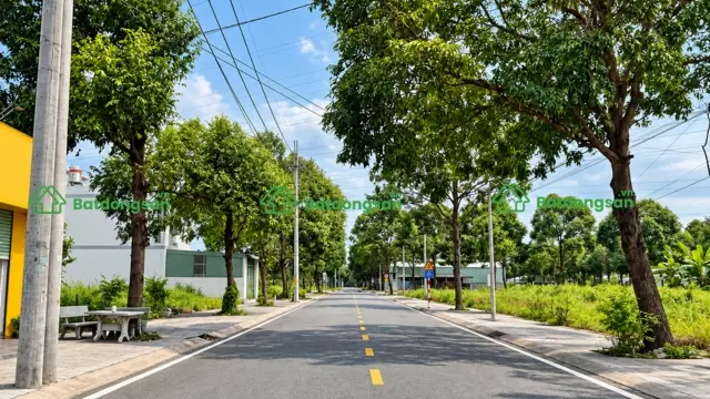 duong-d9.jpg